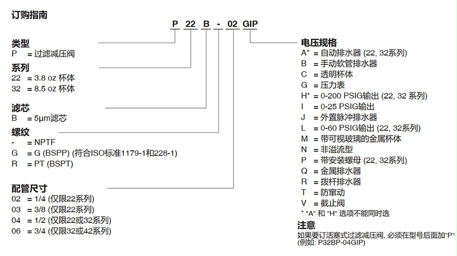 ASCO P22BG04AG過濾器